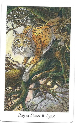 WildWood Tarot